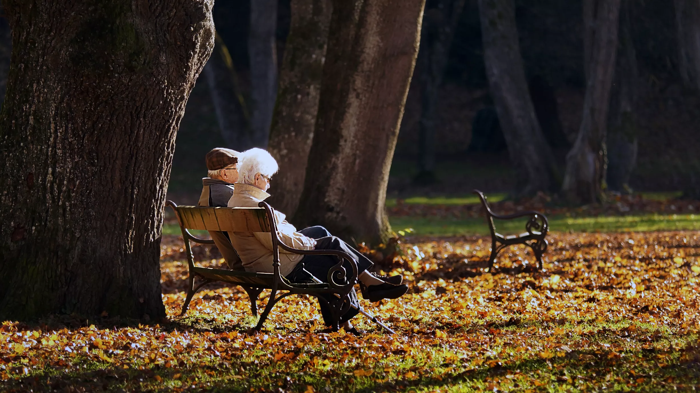 Ein altes Paar welches glücklich in einem Park sitzt